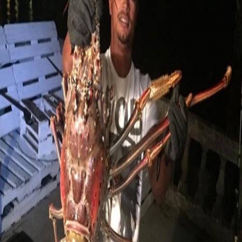 Dupla de pescadores captura lagosta monstruosa de 6,4 kilos