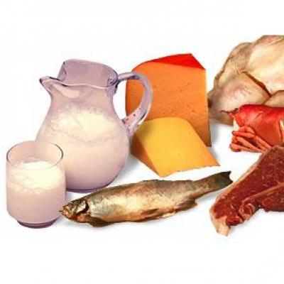 Benefícios do Consumo de Proteína