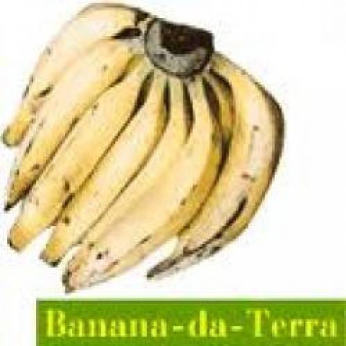 Banana da terra na saúde