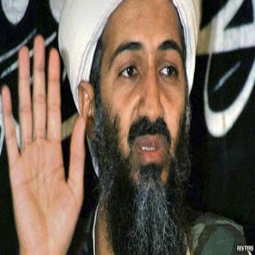 Jornalista apresenta teoria sobre morte de Bin Laden e causa polêmica