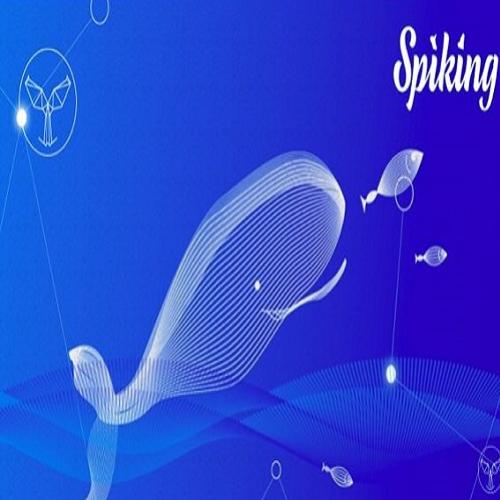 Spiking anuncia parceria com j capital e excavo e traz para seu time c