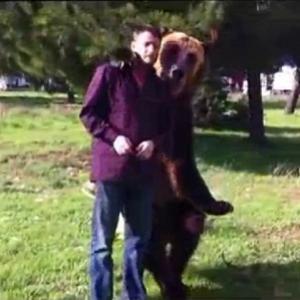 Urso inteligente brinca com seu treinador; muito engraçado