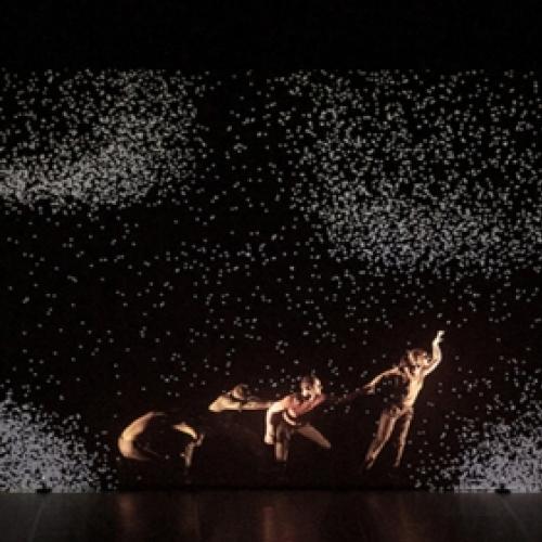 Grupo de dança faz incrível exibição com projeção digital