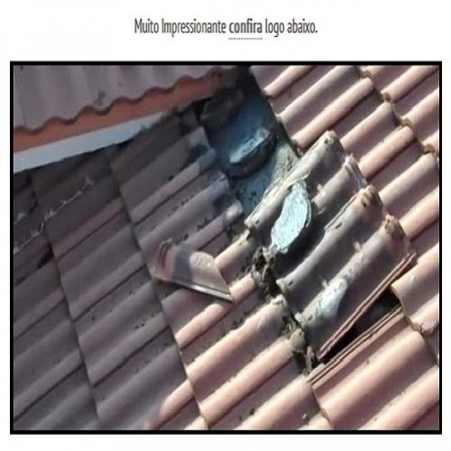 Veja o que essa familia descobriu no telhado de sua casa