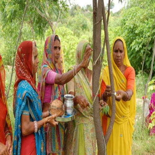 Vila indiana planta 111 novas árvores cada vez que nasce uma menina