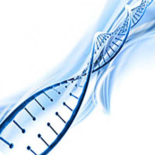 Todas as Células do Nosso Corpo Possuem o Mesmo DNA?