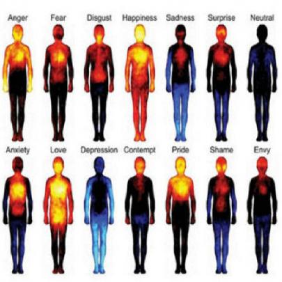 Cientistas finlandeses criam 'mapa corporal' das emoções