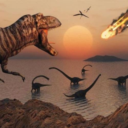 A extinção dos dinossauros não foi a maior da história, confira outras