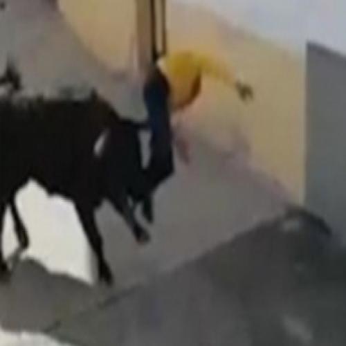 Homem é atacado e morre em tradicional tourada no sul da Espanha