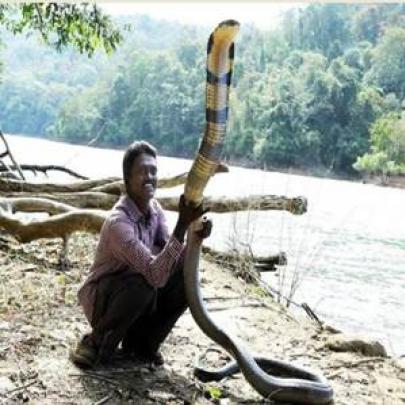 Conheça Vava Suresh, o homem que bebe veneno de cobra