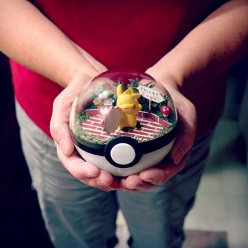 Se você gosta de Pokémon vai querer ter estas pokébolas!