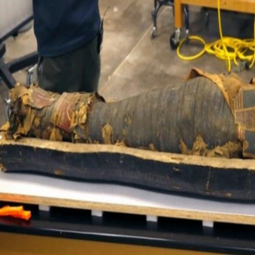 Pela primeira vez na história cientistas tiram uma múmia de seu sarcóf