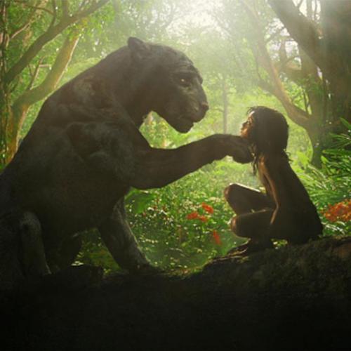 Mogli: O Livro da Selva, parceria entre Andy Serkis e Netflix ganha tr