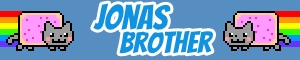 Banner do Jonas Brother