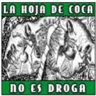 Bolívia lança bebida energética à base de folha de coca 
