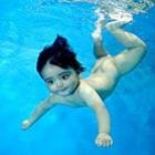 Conheça os Bebês Mergulhadores