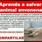 Salve a vida de um animal envenenado!!!