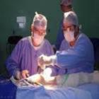 Brasil realiza o primeiro transplante de artéria