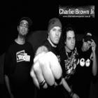 Vocalista do Charlie Brown Jr. interrompe show para detonar baixista Champignon