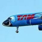 Tam transforma aeronave em Blu (arara azul do filme Rio)