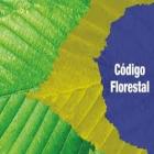  Câmara aprova Medida Provisória que complementa Código Florestal 