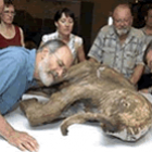 Cientistas tentarão clonar um mamute