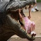 Maior crocodilo do mundo está em cativeiro