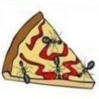Como vc vê as formigas na sua pizza