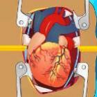 Realize uma cirurgia cardíaca virtual (jogo)