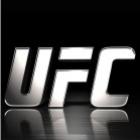 UFC de anões