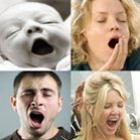 Estudo revela por que bocejar é contagioso