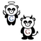 Você está com medo do Google Panda?