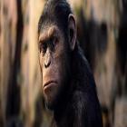 Planeta dos macacos - a origem