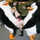 Troque seu filho por um pinguim