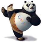 Google Panda – O que é isso?