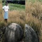Misteriosas esferas de pedra são encontradas na Costa Rica
