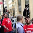 Homem é flagrado andando com gato em cima da cabeça nos EUA 