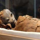 Suposta múmia extraterrestre é encontrada no Egito