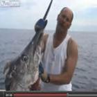 Tubarão é filmado 'roubando' marlin de pescadores