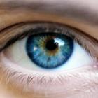 7 Curiosidades fascinantes sobre os olhos