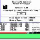 Curiosidades dos 25 anos do Windows