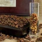 Cocô é usado para fabricar café mais caro do mundo