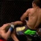 UFC coice de mula