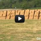 Homem salta de helicóptero sem paraquedas e pousa sobre 18.600 caixas de papelão