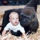 Menina com gorilas