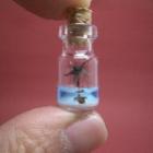 Belas miniaturas dentro de frascos de vidro super pequenos