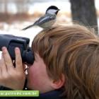 A prática do birdwatching reforça a consciência ecológica