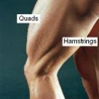Como ganhar massa muscular nas pernas