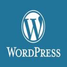 Wordpress bate recorde! Saiba quantos blogs no mundo utilizam a ferramenta