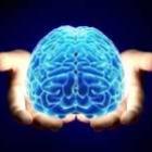 Desvendadados mais 4 mitos sobre o cérebro humano